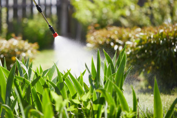 Tamper-Resistant Bait Stations for Rodents in Fletcher
