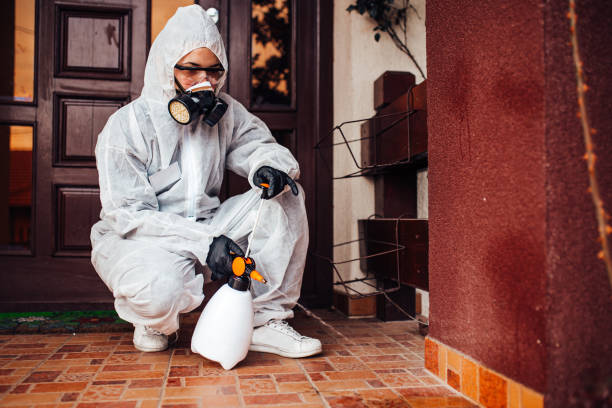 Attic and Crawl Space Rodent Treatment in Fletcher