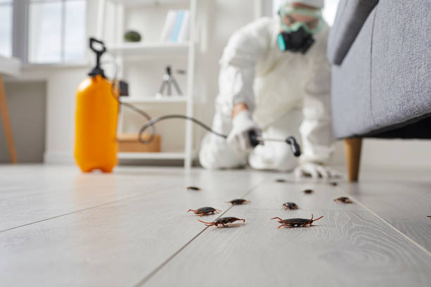 Commercial Rodent Management in Fletcher